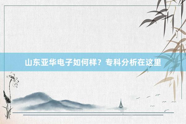 山东亚华电子如何样？专科分析在这里