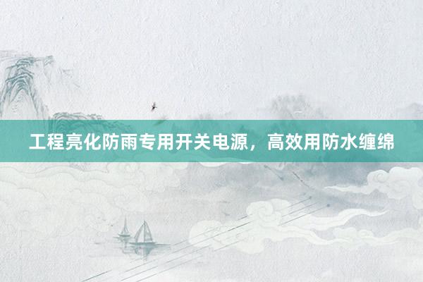 工程亮化防雨专用开关电源，高效用防水缠绵